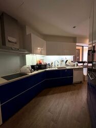 Dover Parkview (D5), Condominium #597132441